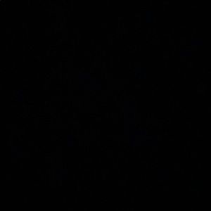 Meet your Posher, Jesse